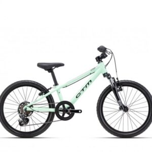 Dviratis CTM Jerry 2.0 20" dydis 11"