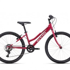 Dviratis CTM Mony 24" dydis 13"