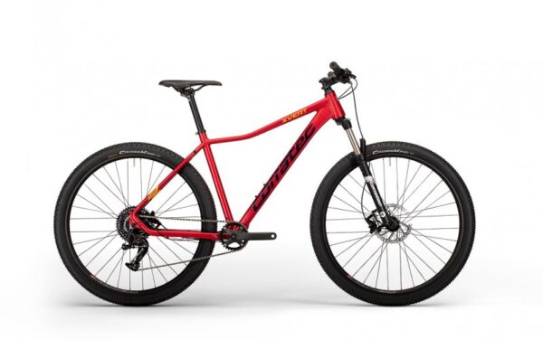 Dviratis Corratec MTB 29" X Vert Expert dydis 44 cm
